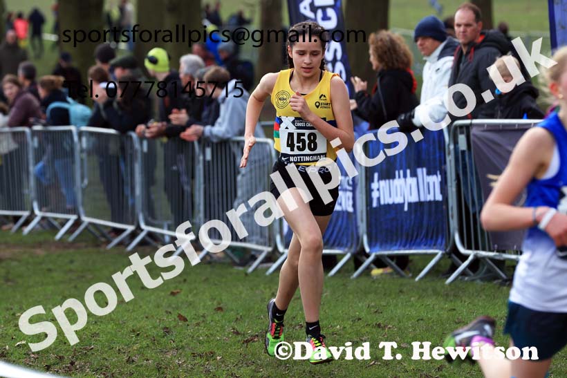 Girls Under-13s, 2024 CAU Inter Counties Cross Country Champs., Wollaton Park, Nottingham. Photo: David T. Hewitson/Sports for All Pics